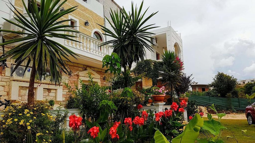 Vila Vasiliu