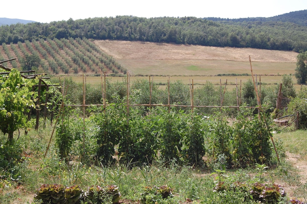 Agriturismo Montepozzalino
