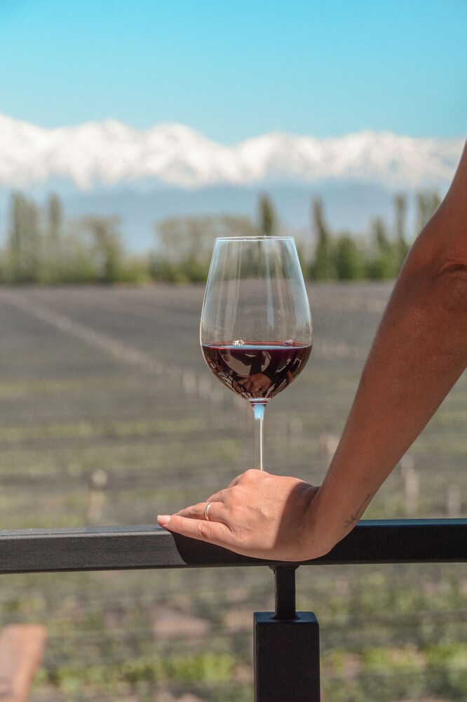 Agrelo Vines Lodge - Image 2