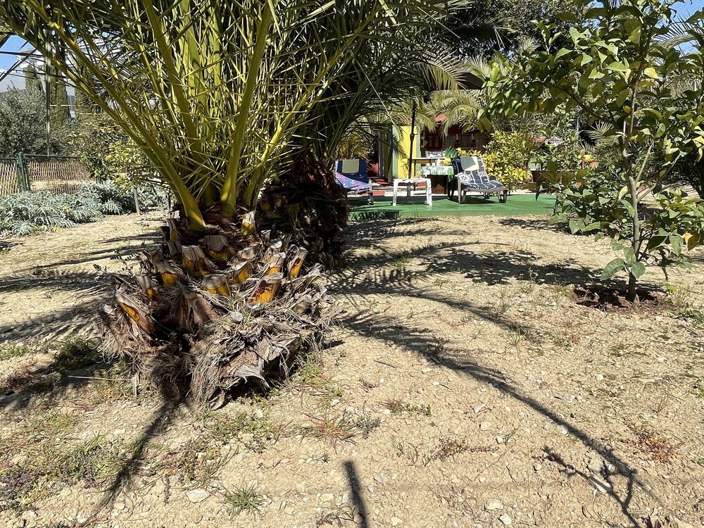 Oasis in Split Near the Center view 5