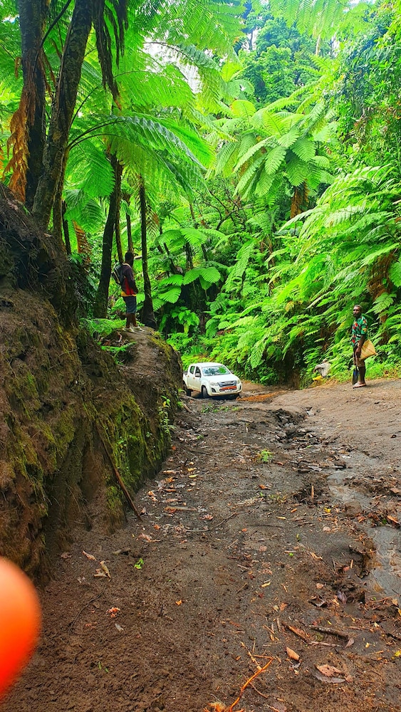 Volcano Island paradise bungalows view 4