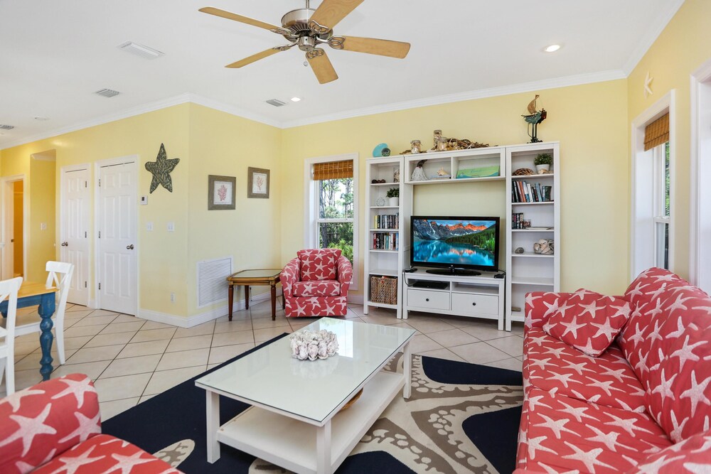 Cape Palms