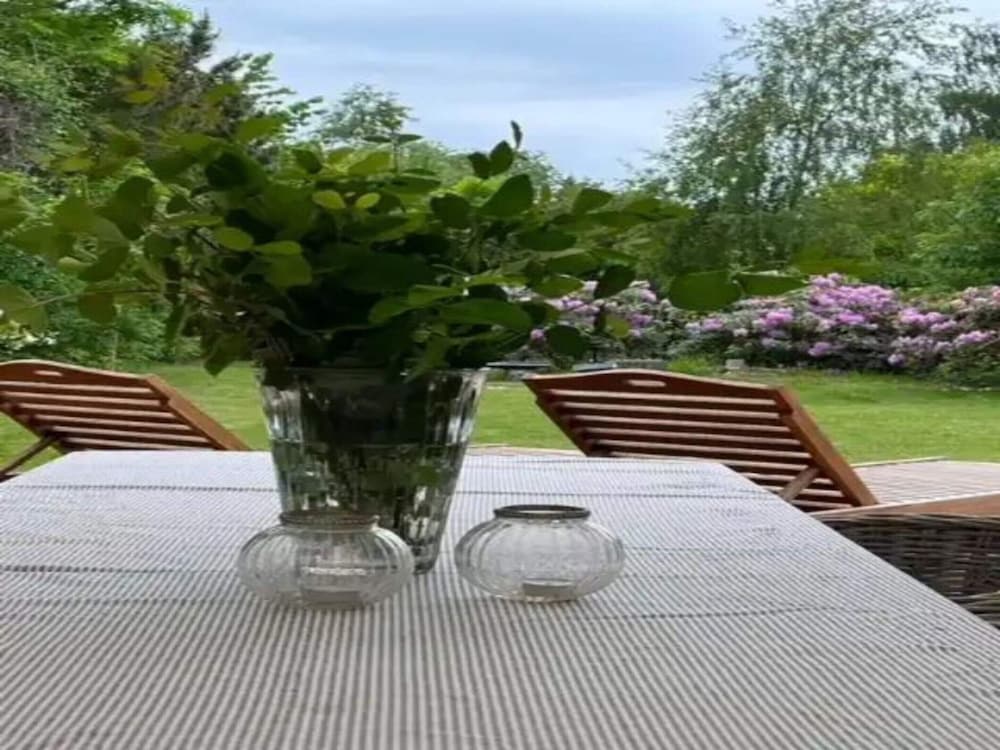 5 Star Holiday Home in Dronningmolle
