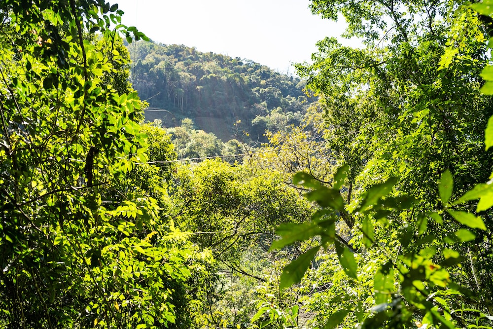 Casa de campo Los Yungas