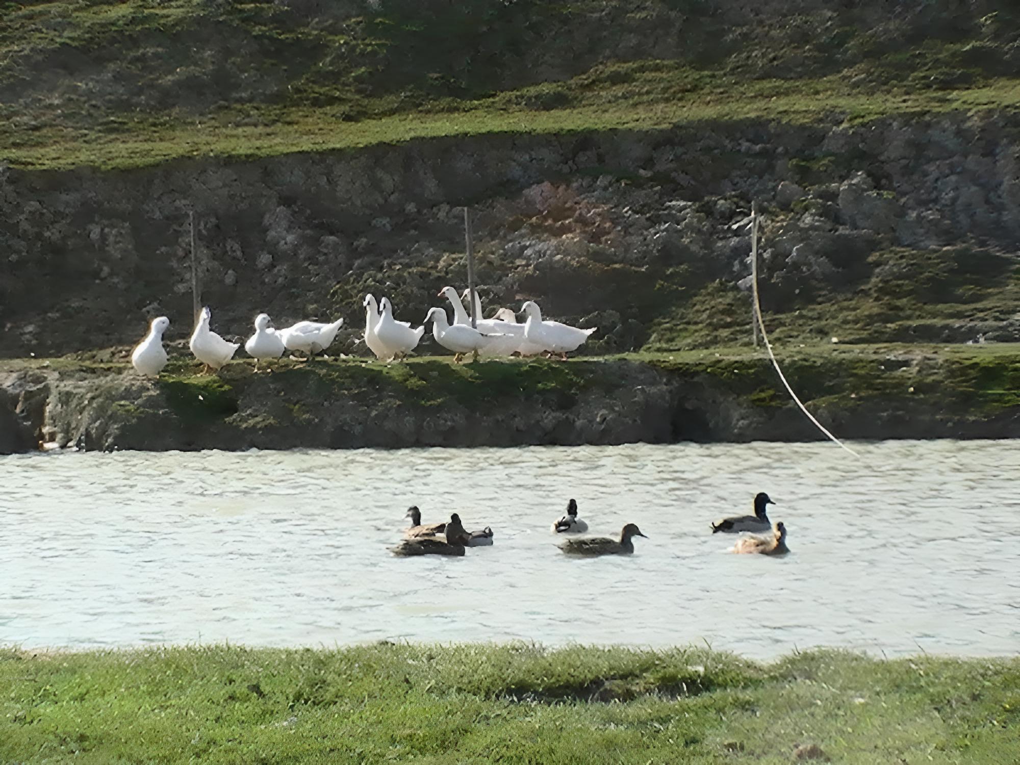 Photo 15