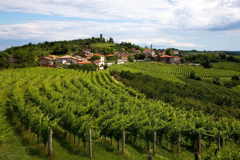 Neda Apartment In Krasno Among Vineyards