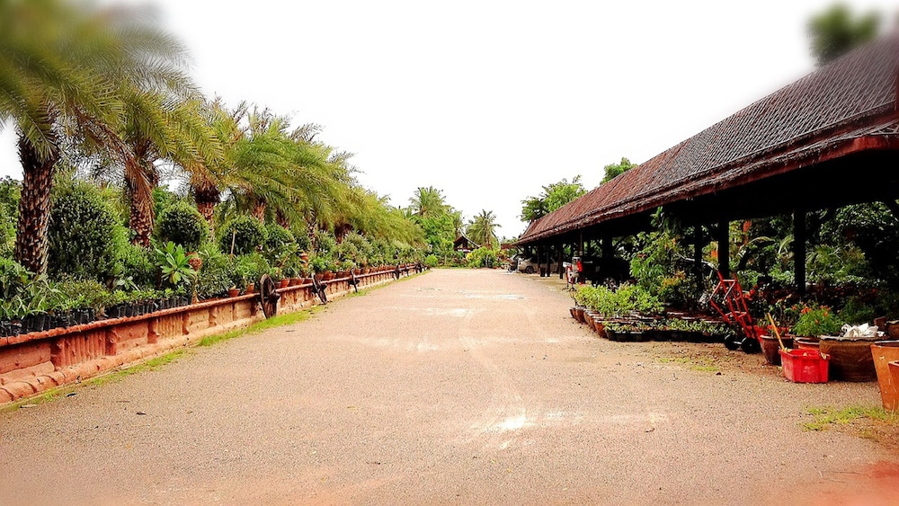 Photo 41