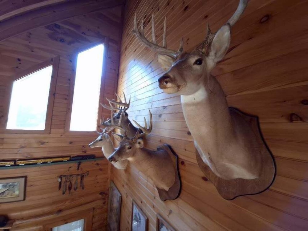 Reservation 2 Bedroom Cabin