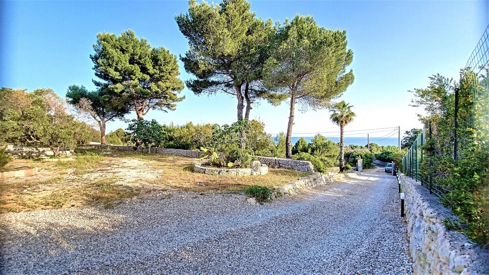 Sal010 in Torre Pali view 4