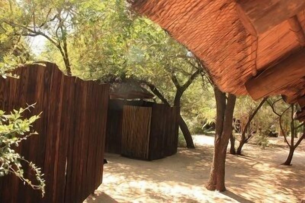 Offbeat Safaris