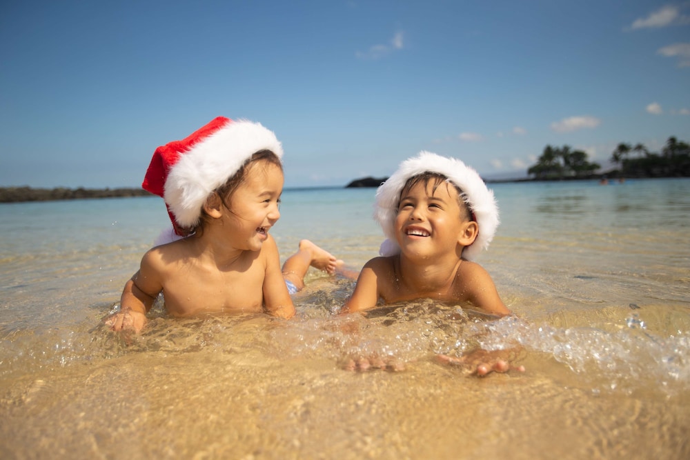 Fairmont Orchid - Property Image 200