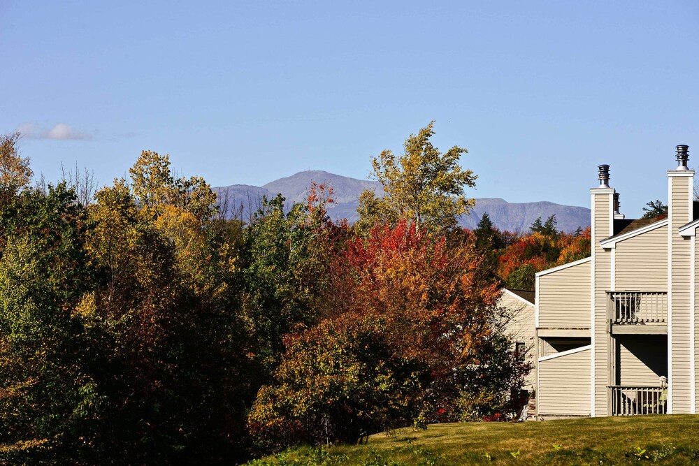 Bartlett Condo w/ Mountain Views Near Ski Resorts! view 5