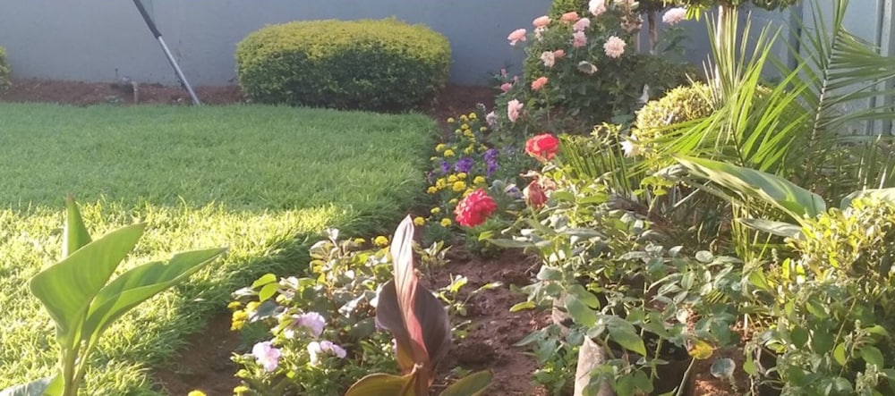 Berry Bliss Guest House