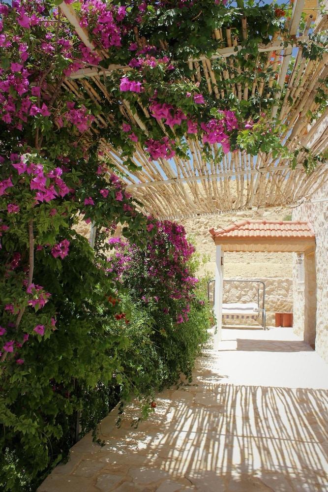 Petra Bed & Breakfast
