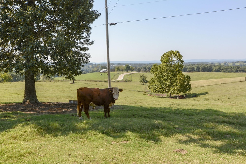 Omaha Vacations - Llama House - Property Image 7
