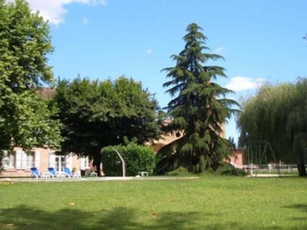 Le Platane