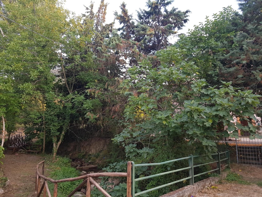 Photo 21
