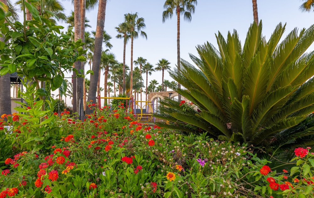 Meryan Otel - Her Şey Dâhil - Image 25