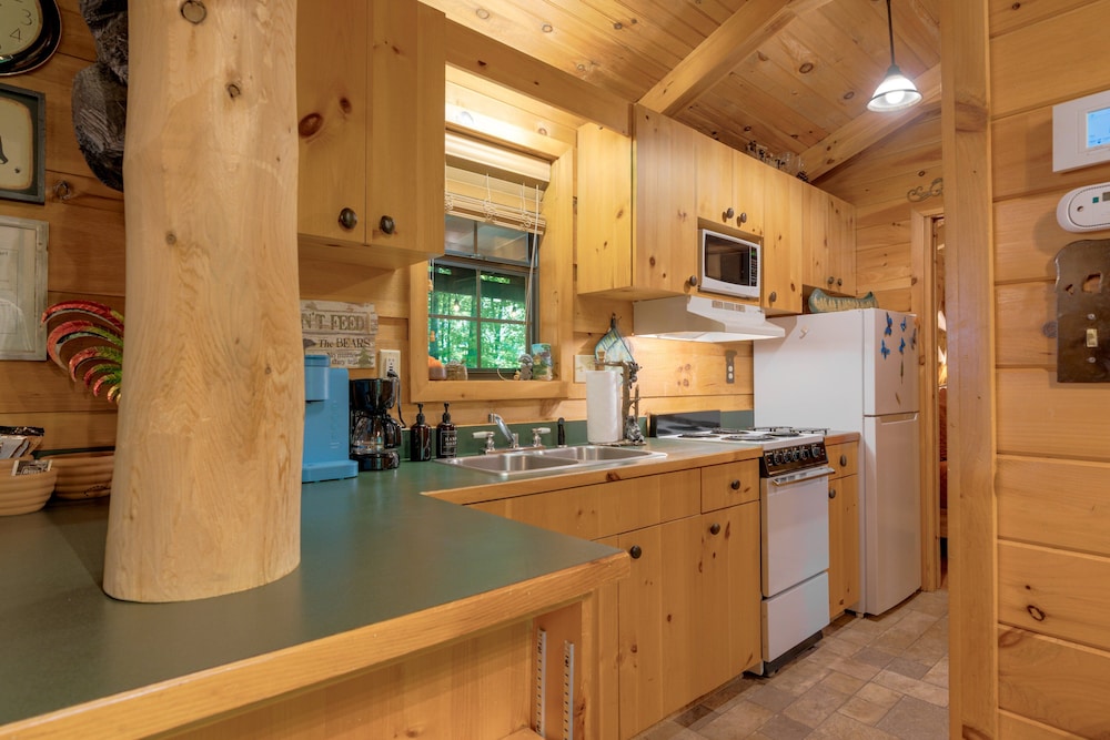 Cozy Bear 1 Bedroom Cabin