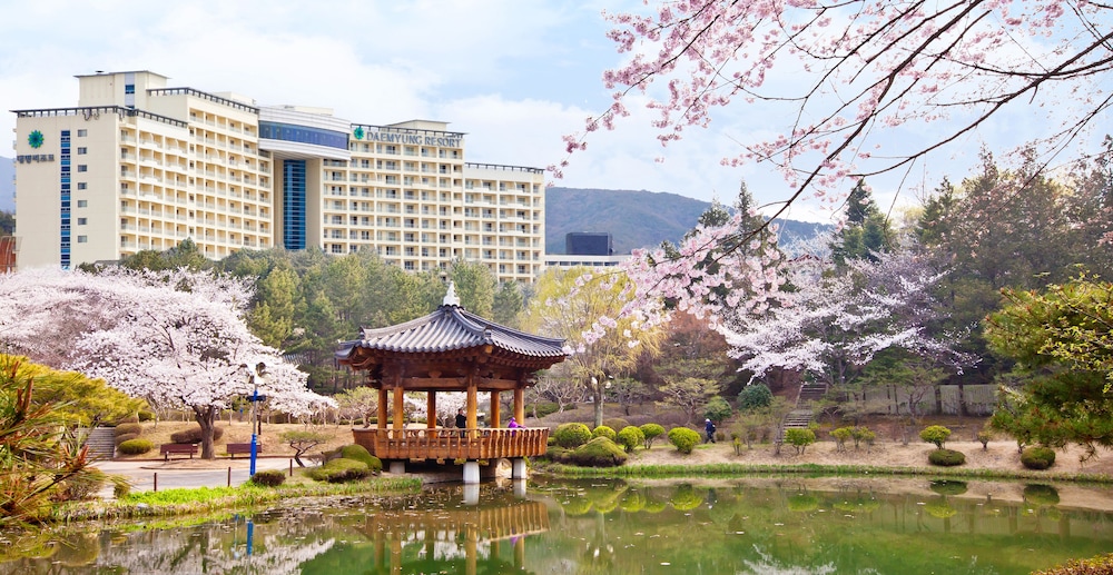 Sono Calm Gyeongju 48