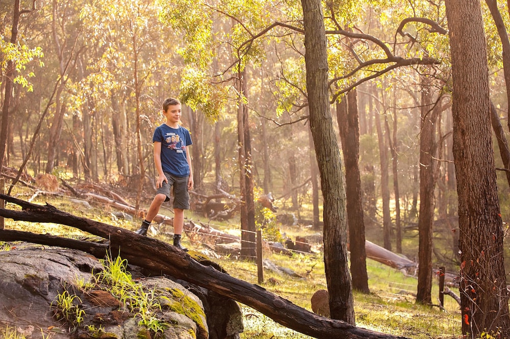 Evedon Park Bush Retreat