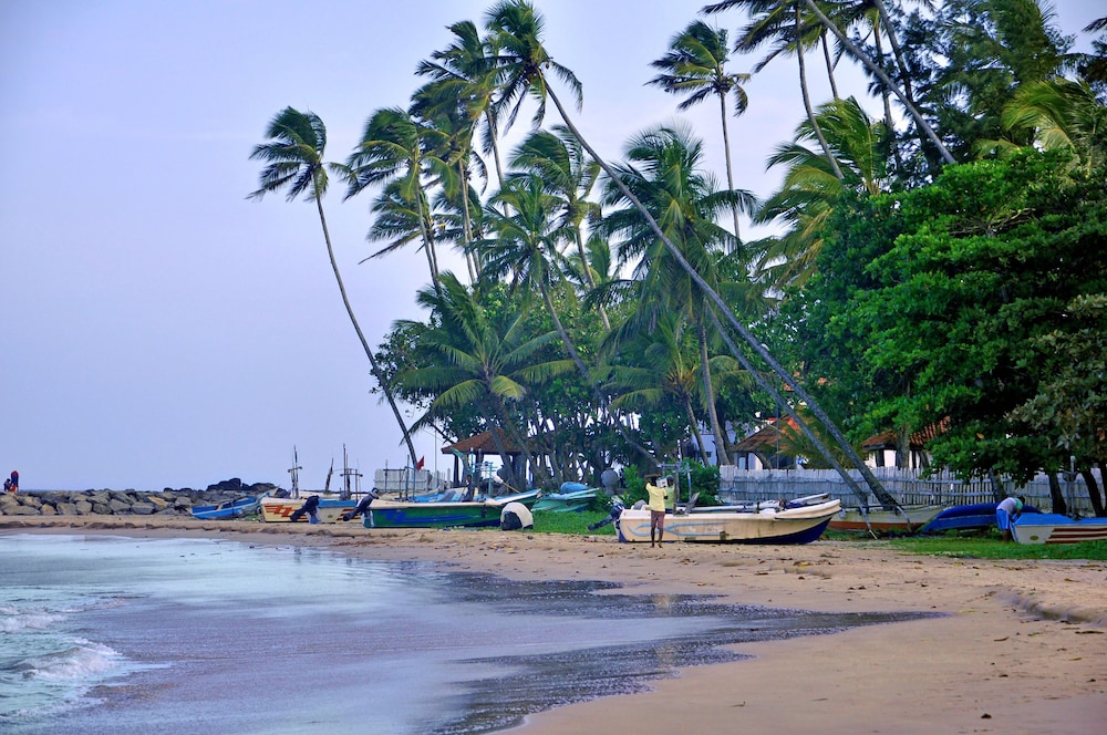 Tamasha Mango House view 5