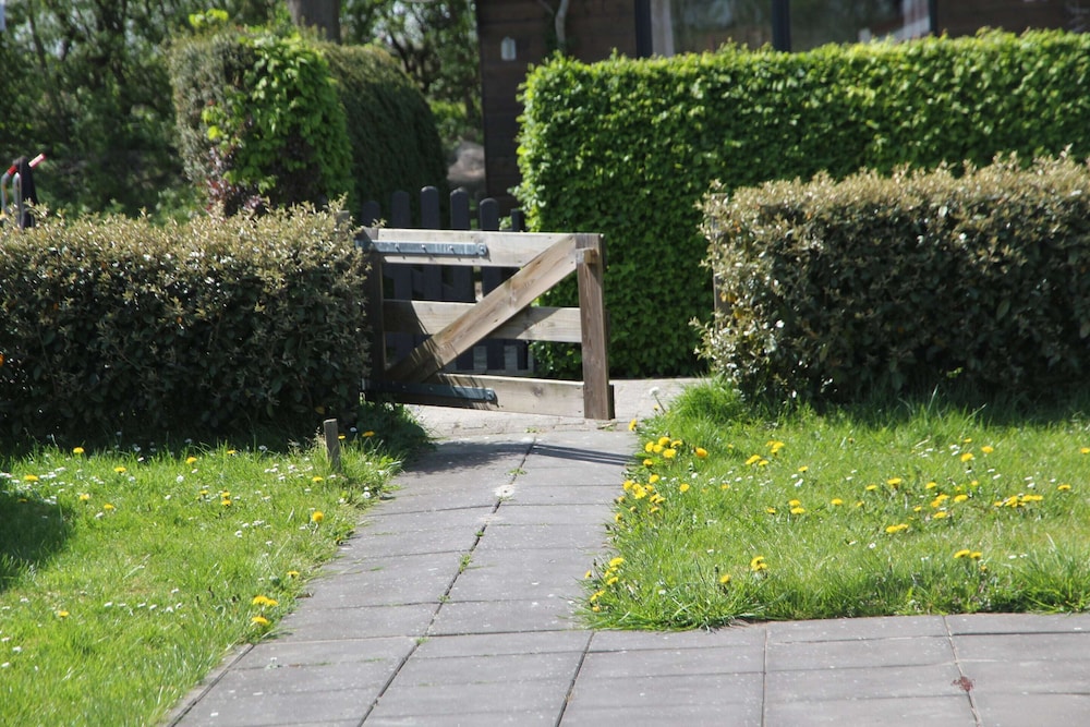 Photo 13
