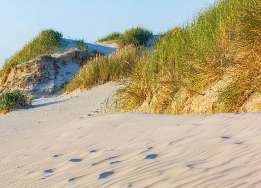 Holiday Home Near Dutch Beach and Dunes