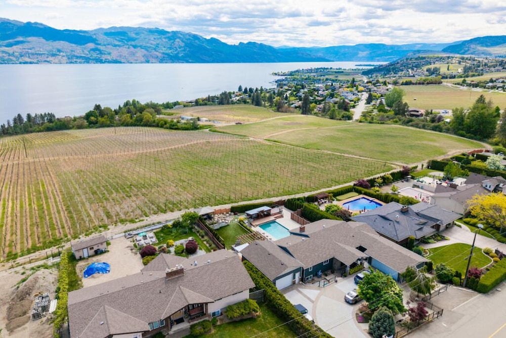 Vineyard Views