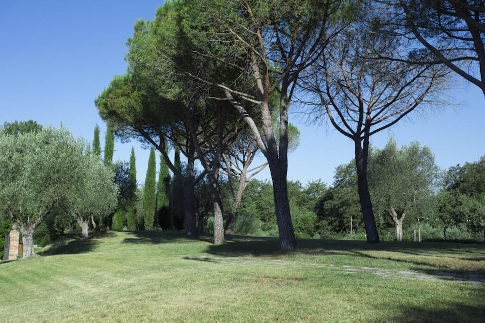Casale degli Ulivi