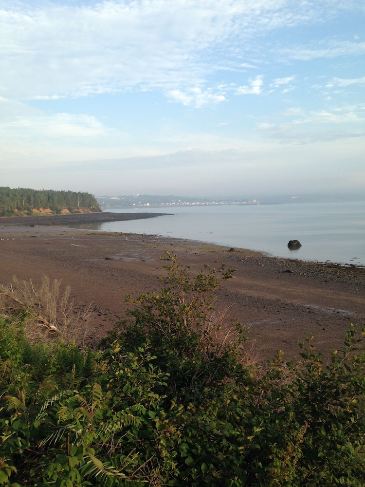 Photo 43