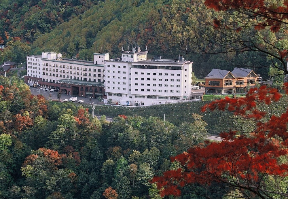 Hotel Taisetsu ONSEN＆CANYON RESORT, Kamikawa - 24
