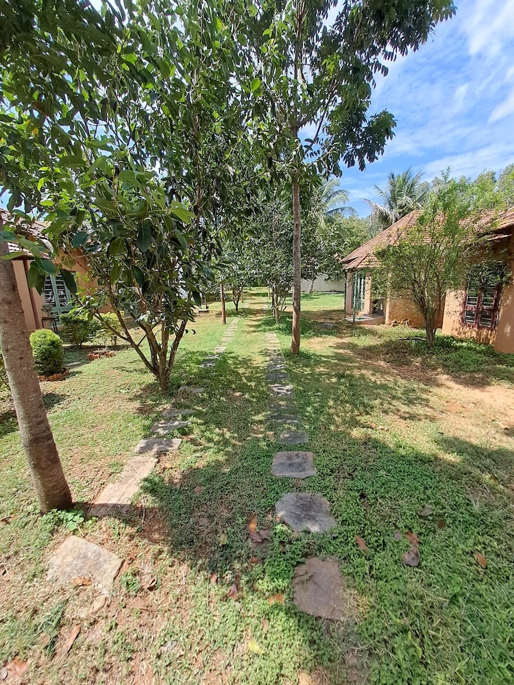 Olive Jungle Resort