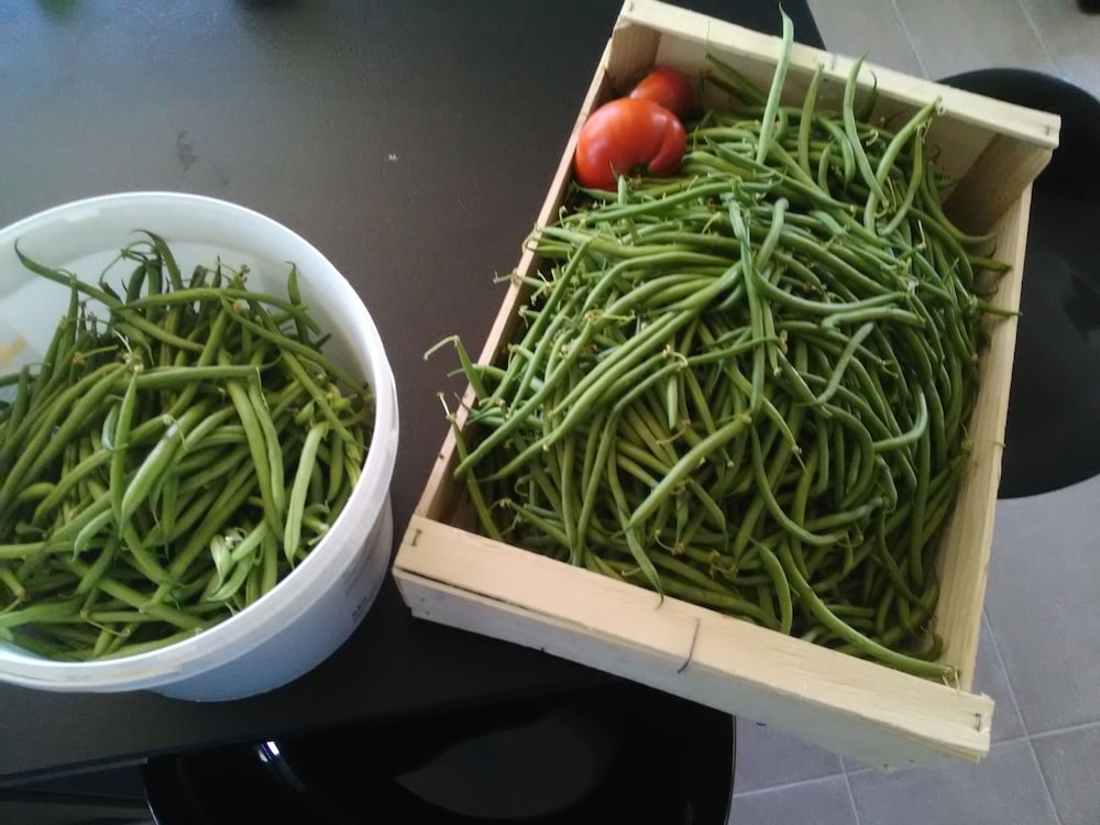 other