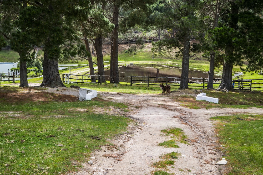 High Season Farm
