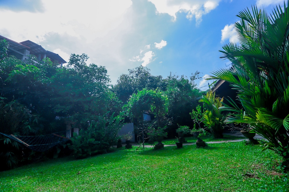 Palitha Guesthouse Hotel Dandelion 