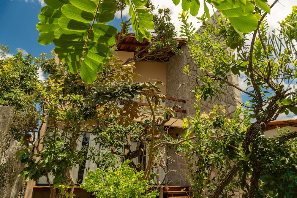 Lofts Lobo Guara