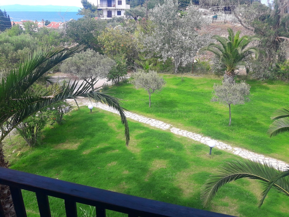 Photo 10