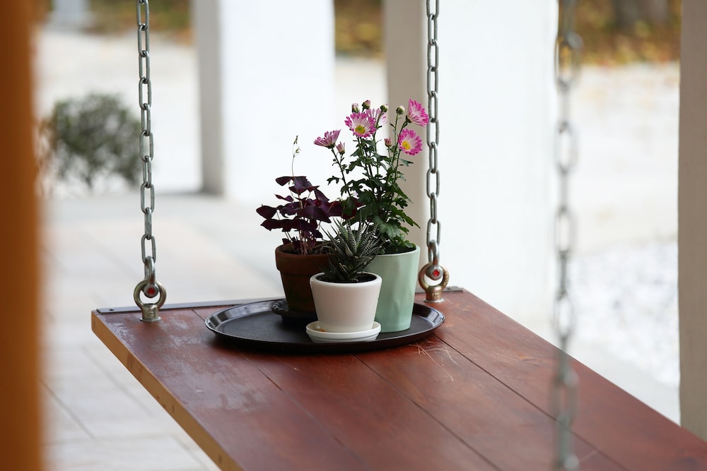 Focacia BNB