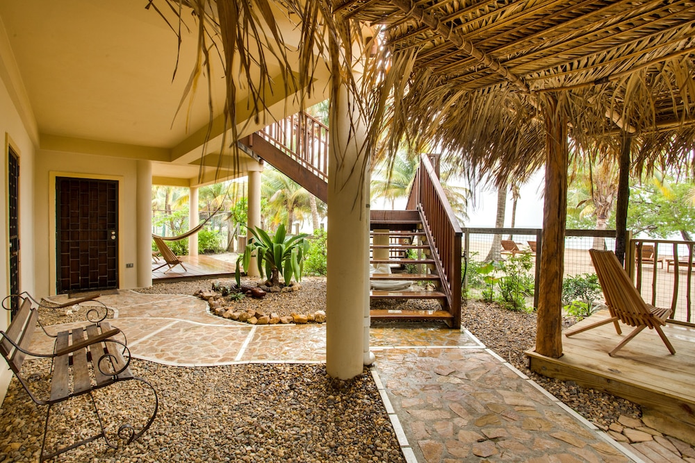 Buttonwood Belize