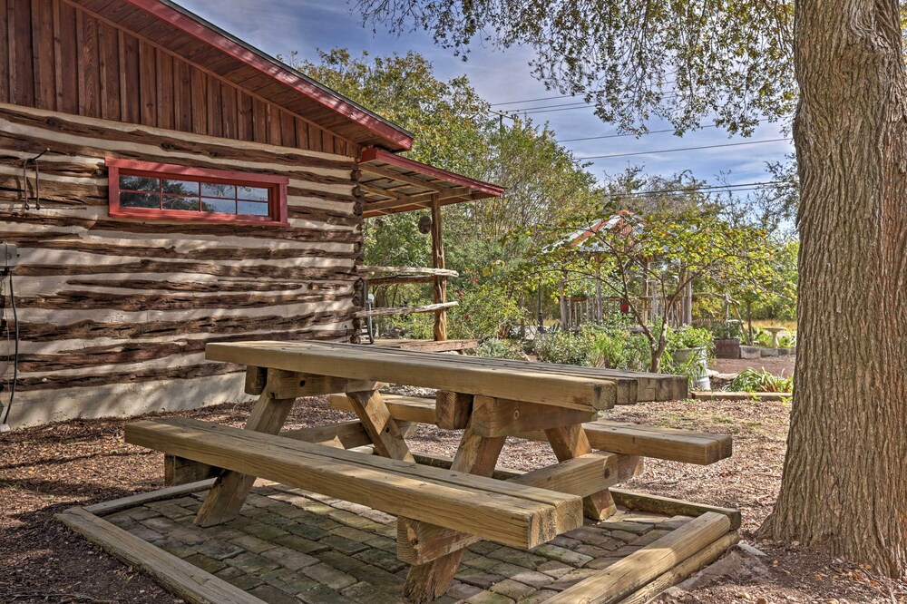Custom 'texas Cabin' Studio - 5 Min to Gruene Hall view 3