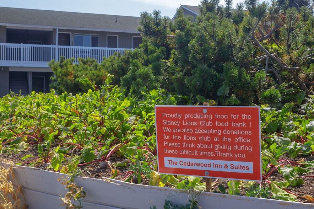 The Cedarwood Inn & Suites