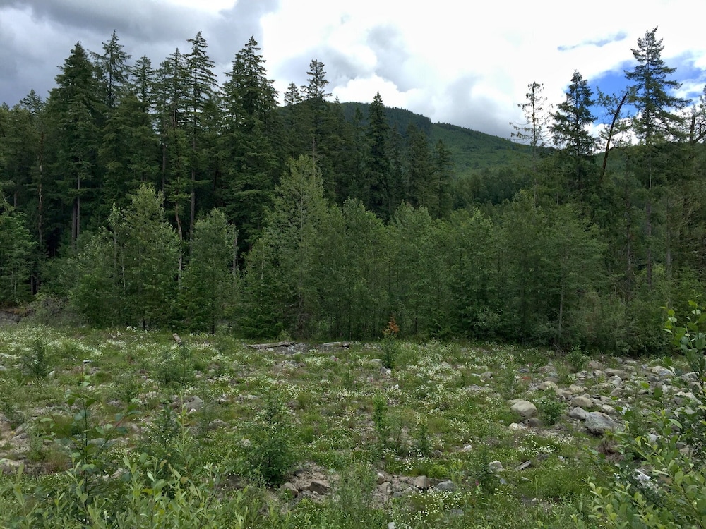 Photo 34