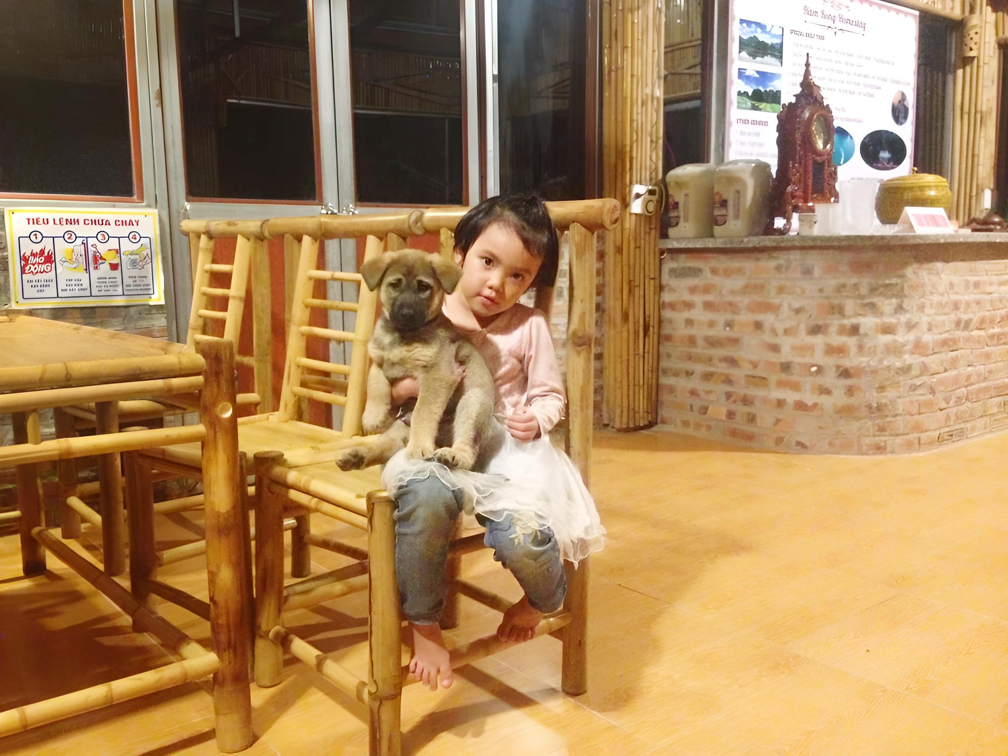 Trang An Lim Garden