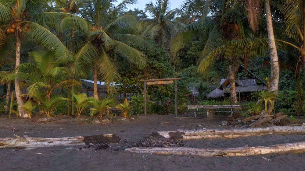 Photo 43