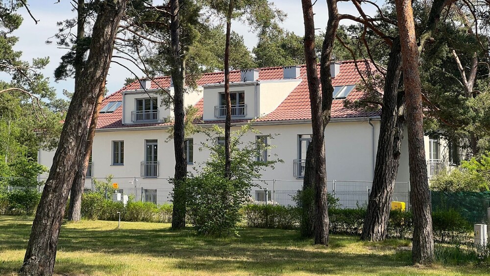 Apartamenty Sun & Snow Las i Morze view 2