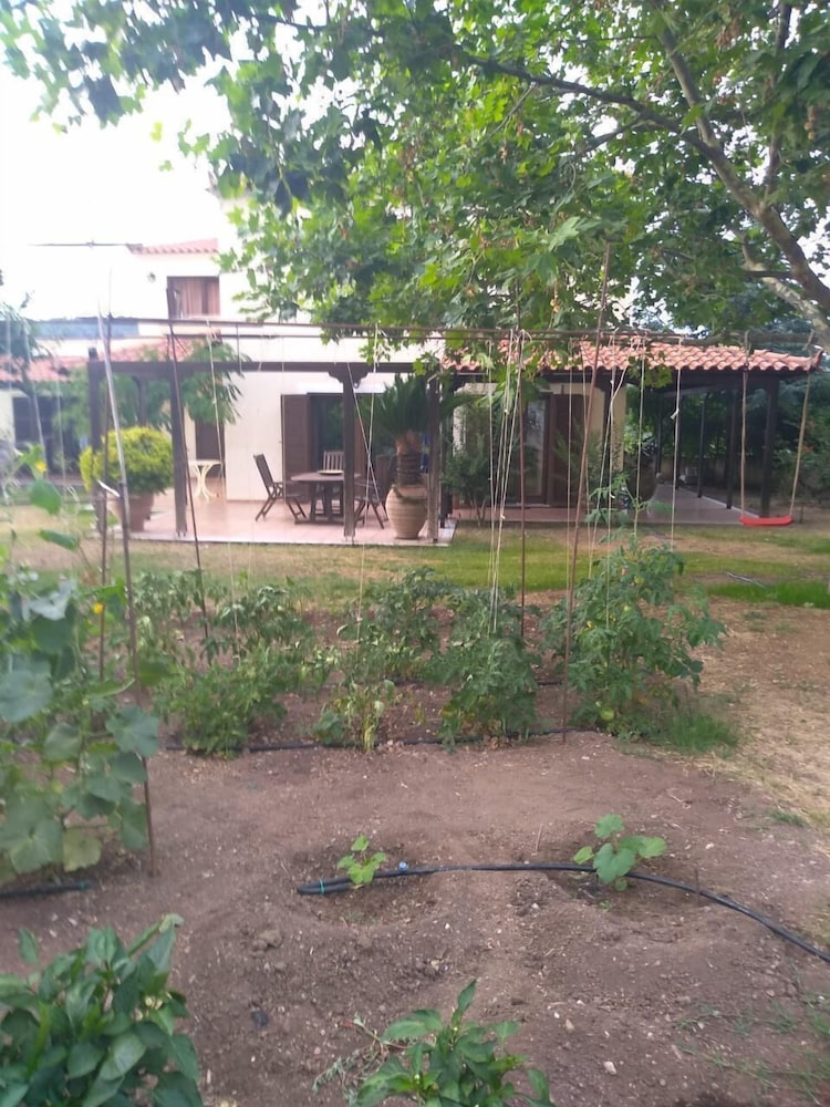 Photo 18