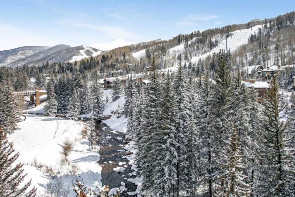 Comfortable 2BR Antlers Condo in Lionshead Village