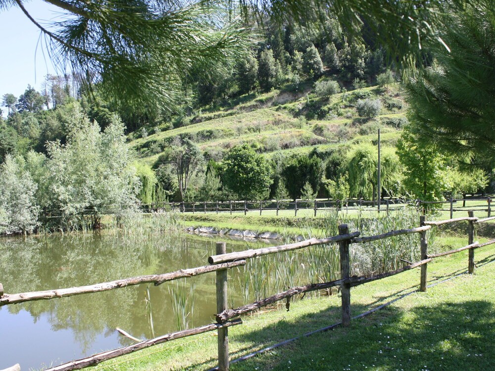 Tuscany's Hidden Garden Escape photo 5