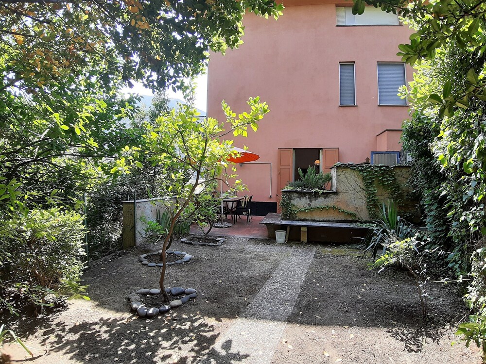 Photo 11